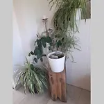 Geschmackvoll Eingerichtetes Haus *